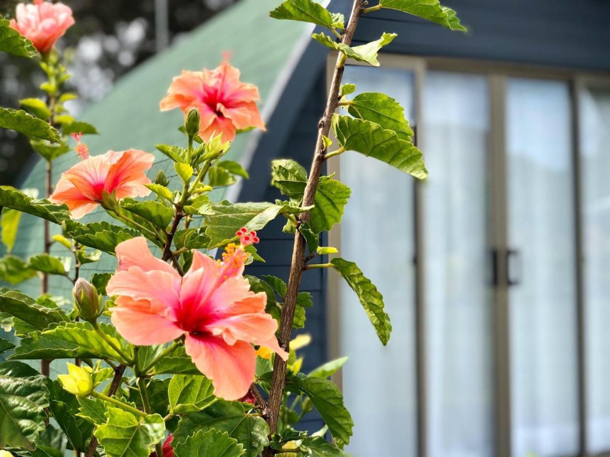Rangi Moana Villa Hanga Roa Exterior foto